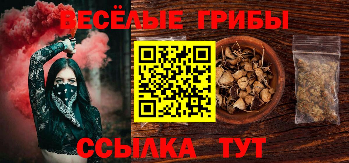 Городец  Галлюциногенные грибы мицелий  Вход с VPN  Псилоцибиновые грибы ЛСД 