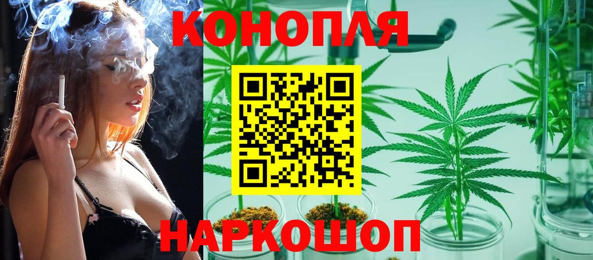 Шишки марихуана семена Городец